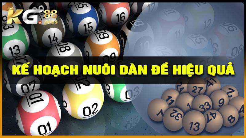 Kế hoạch nuôi một dàn đề hiệu quả