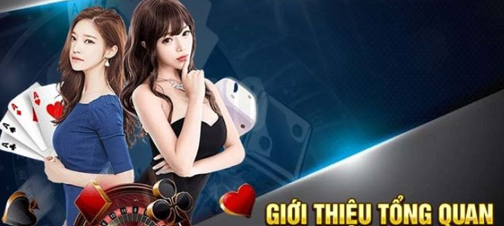 Giới thiệu KG88 mang đến thông tin chi tiết về nhà cái đỉnh cao