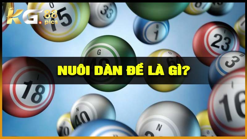 Nuôi Dàn Đề Là Gì?